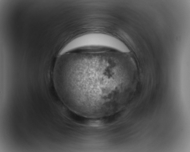 X0000088060169200705251350