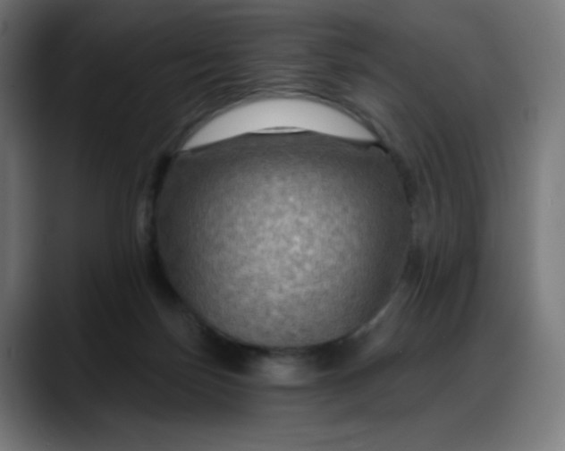 X0000088060171200705251350