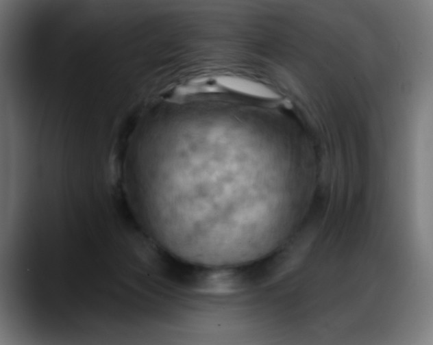 X0000088060173200705251350