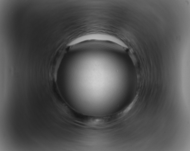 X0000088060174200705251350