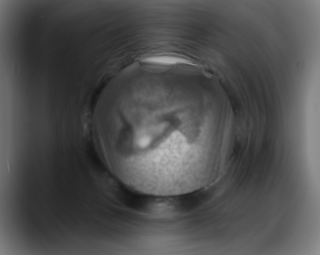 X0000088060175200705251350
