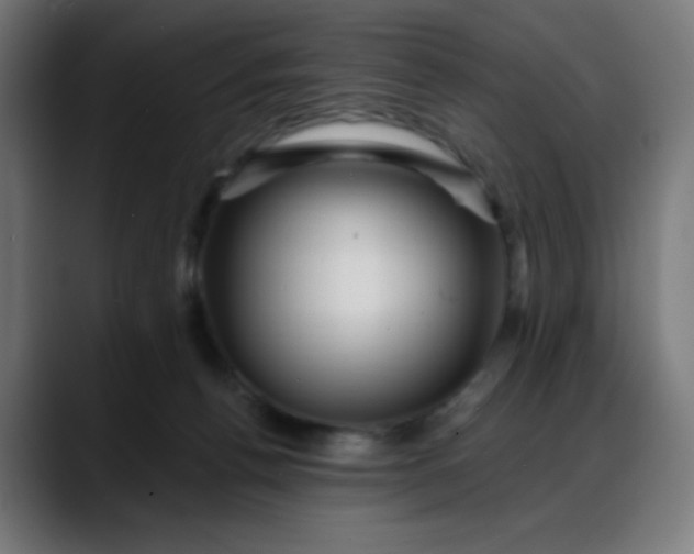 X0000088060176200705251350