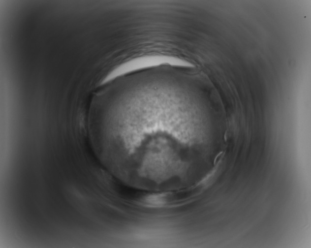 X0000088060178200705251350