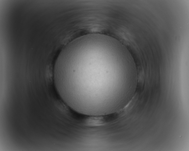 X0000088060179200705251350