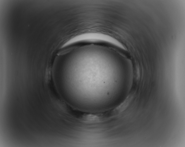 X0000088060180200705251350