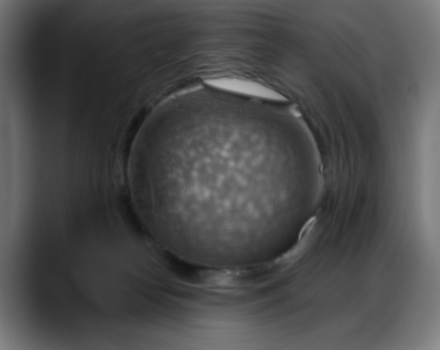 X0000088060182200705251350