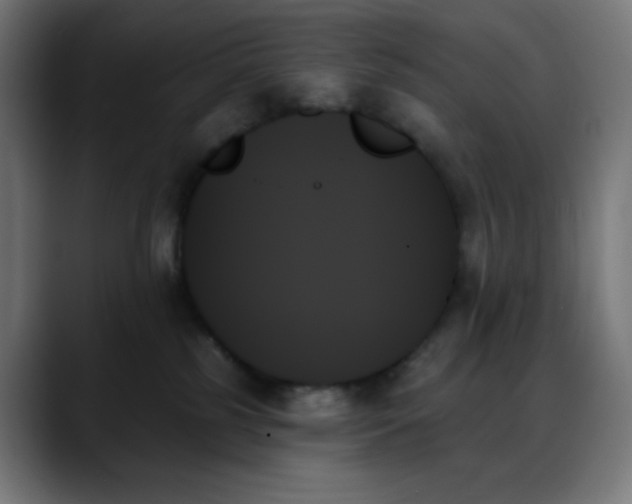 X0000088060185200705251350