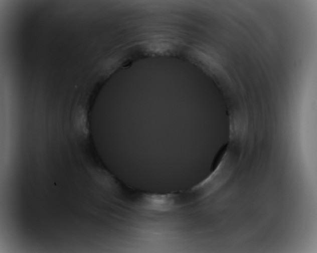 X0000088060187200705251350