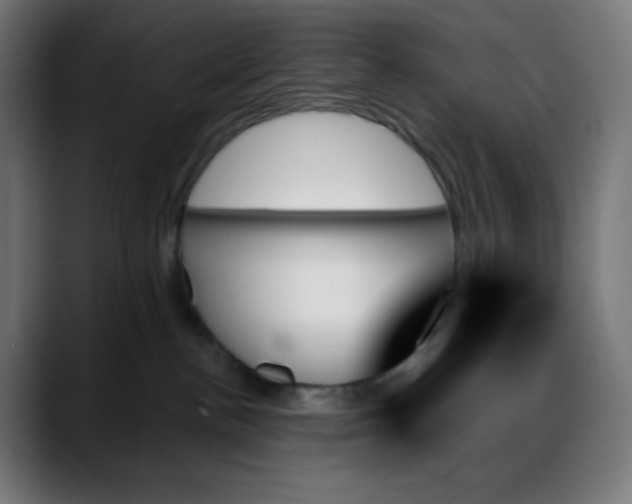 X0000088060188200705251350