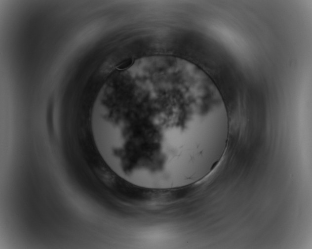 X0000088060191200705251350