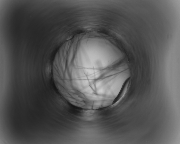 X0000088060192200705251350