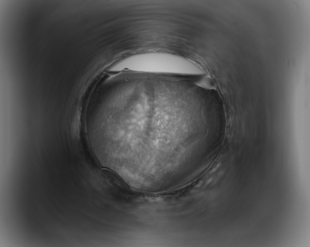 X0000088060194200705251349