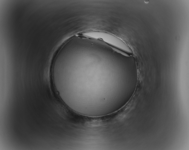 X0000088060196200705251349
