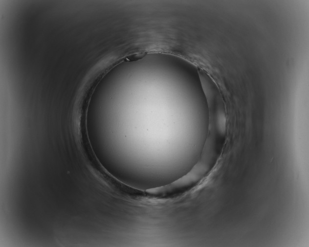 X0000088060197200705251349