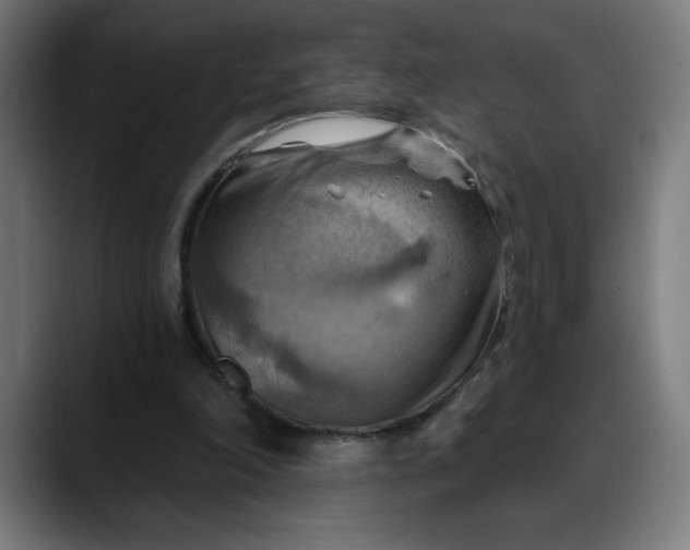 X0000088060198200705251349