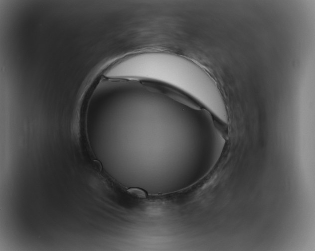 X0000088060200200705251349