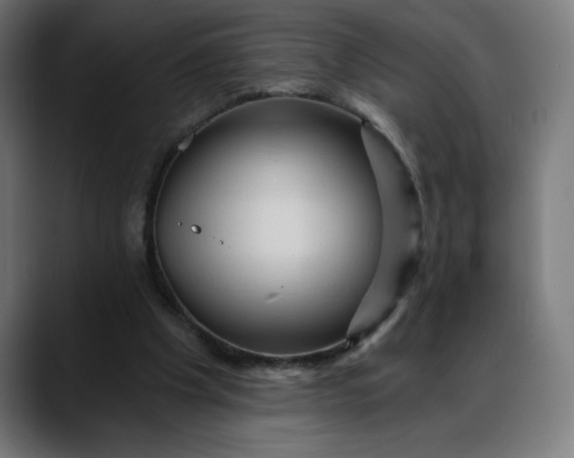 X0000088060201200705251349