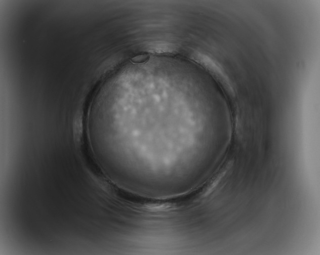 X0000088060202200705251349
