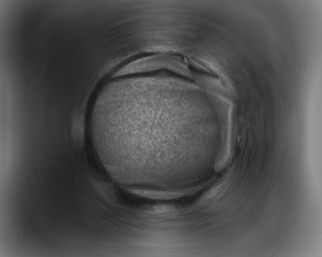 X0000088060204200705251349
