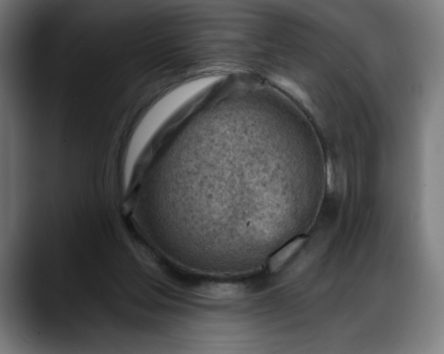 X0000088060205200705251349