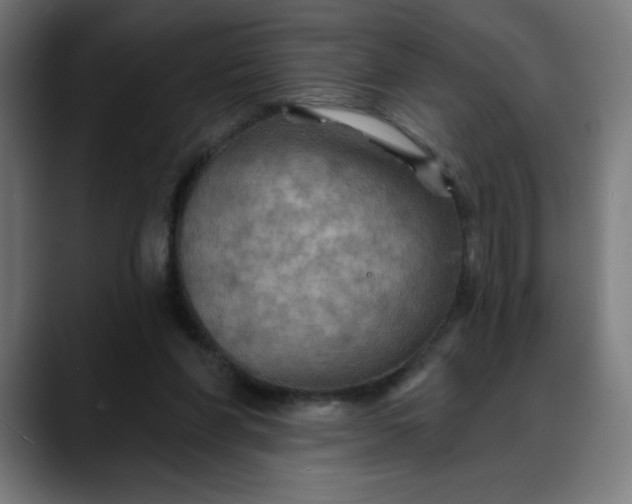 X0000088060206200705251349