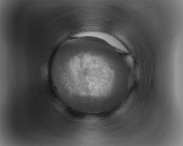 X0000088060207200705251349
