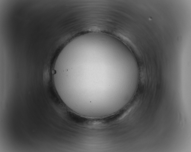 X0000088060208200705251349