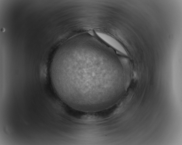 X0000088060211200705251349