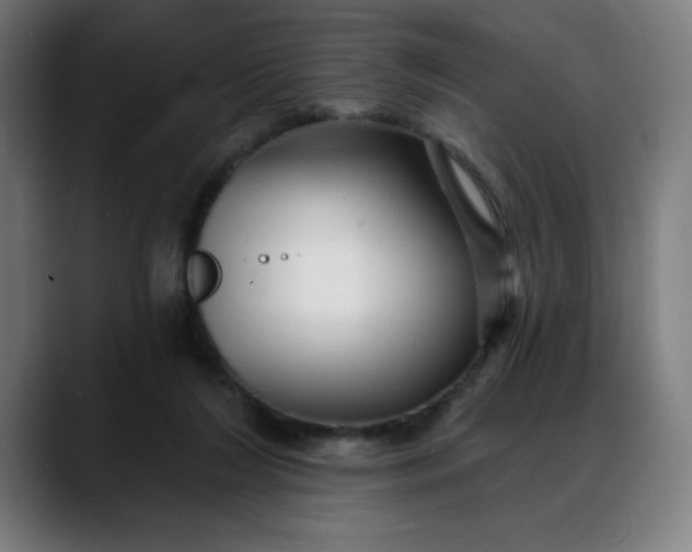 X0000088060212200705251349