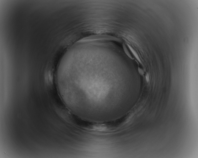 X0000088060214200705251349