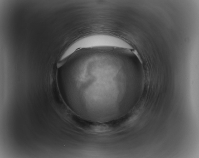 X0000088060215200705251349