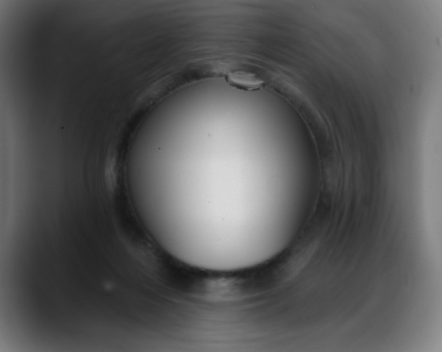 X0000088060216200705251349