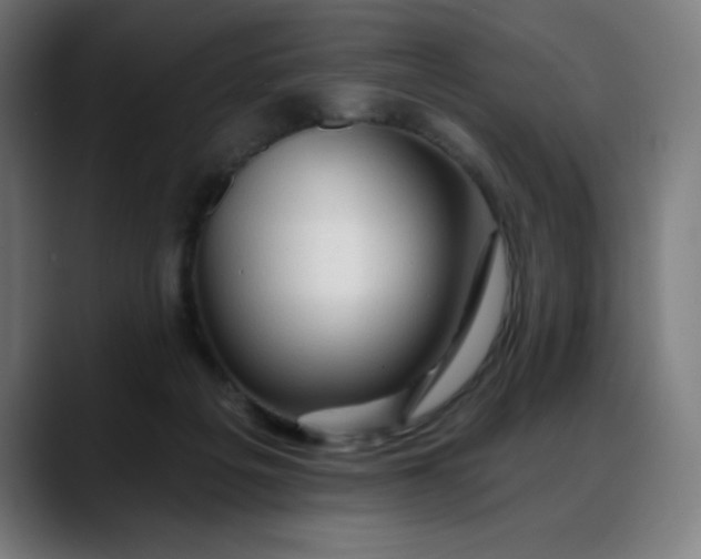 X0000088060217200705251349