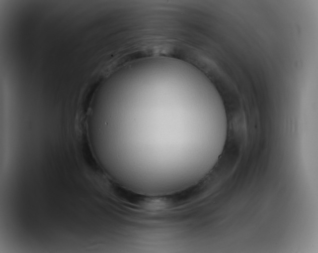 X0000088060218200705251349