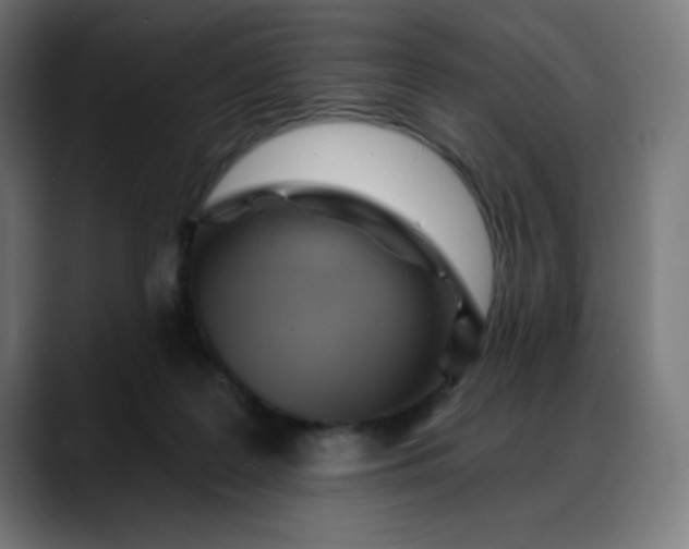 X0000088060219200705251349