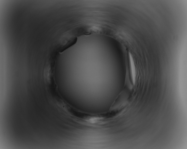 X0000088060223200705251349