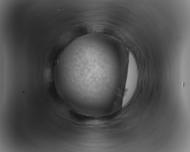 X0000088060224200705251349