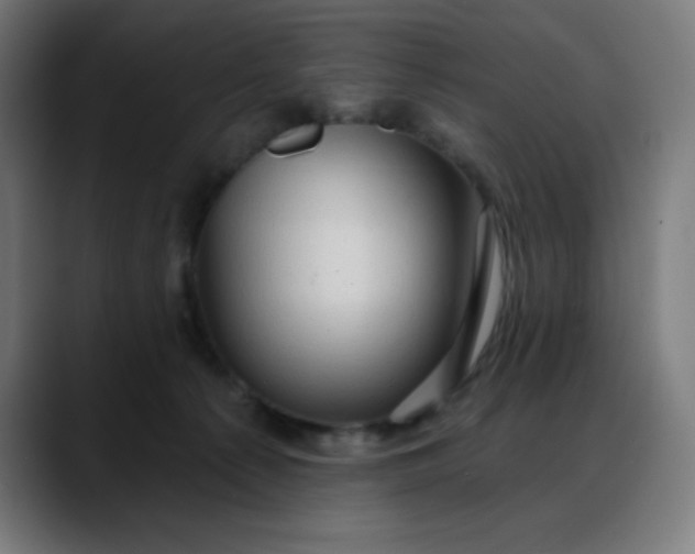X0000088060225200705251349