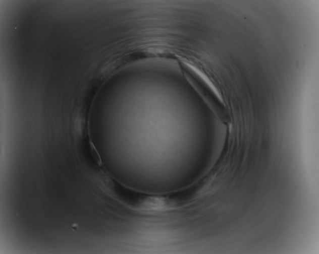 X0000088060227200705251349
