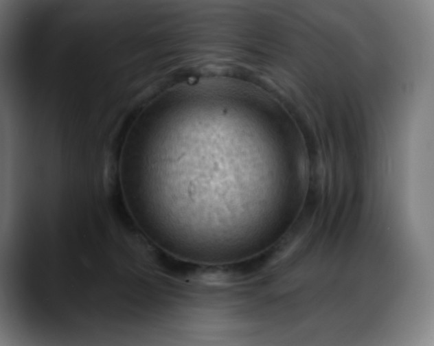X0000088060228200705251349