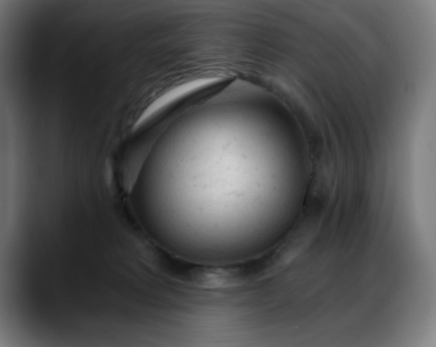 X0000088060229200705251349