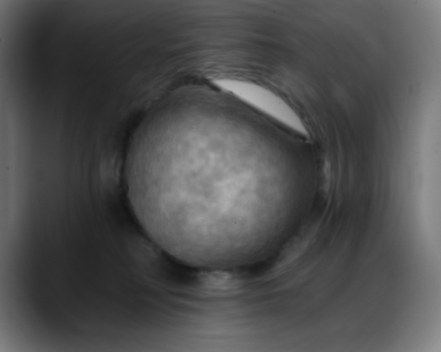 X0000088060230200705251349