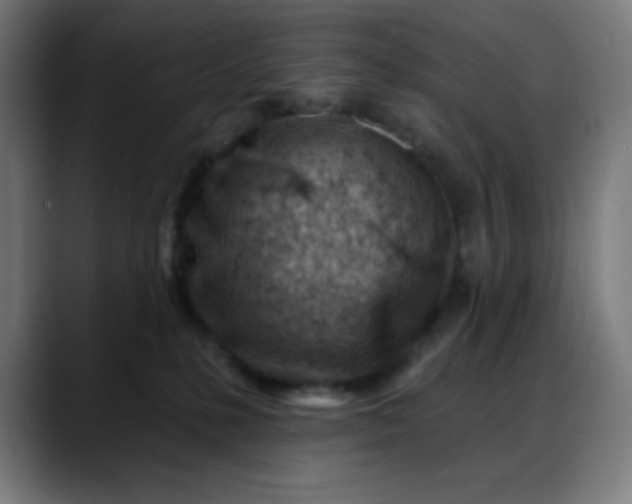 X0000088060231200705251349