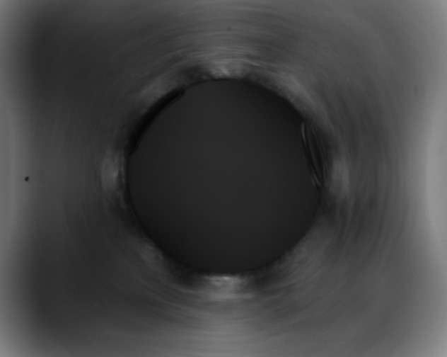 X0000088060233200705251349