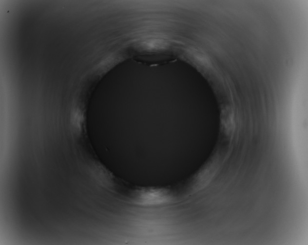 X0000088060235200705251349