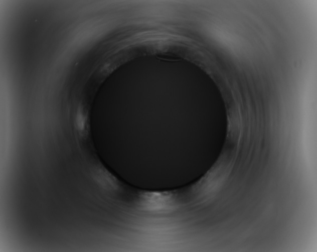 X0000088060239200705251349