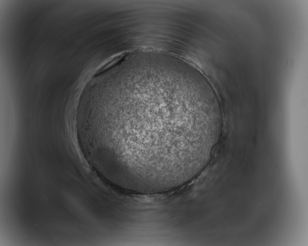 X0000088060241200705251348