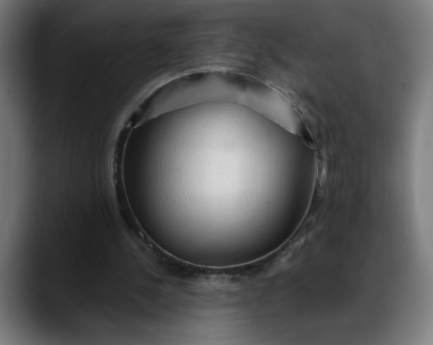 X0000088060244200705251348