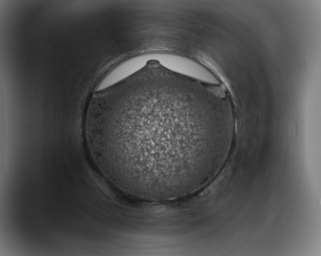 X0000088060249200705251348