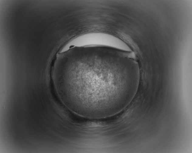 X0000088060250200705251348